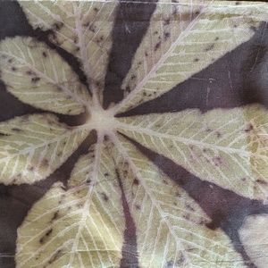 Meet your Posher, Pam